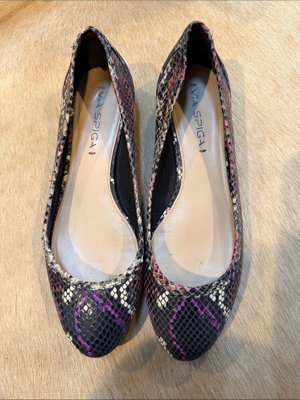 Via Spiga Snake-Print Pointed Flats in Black, Purple & Cream